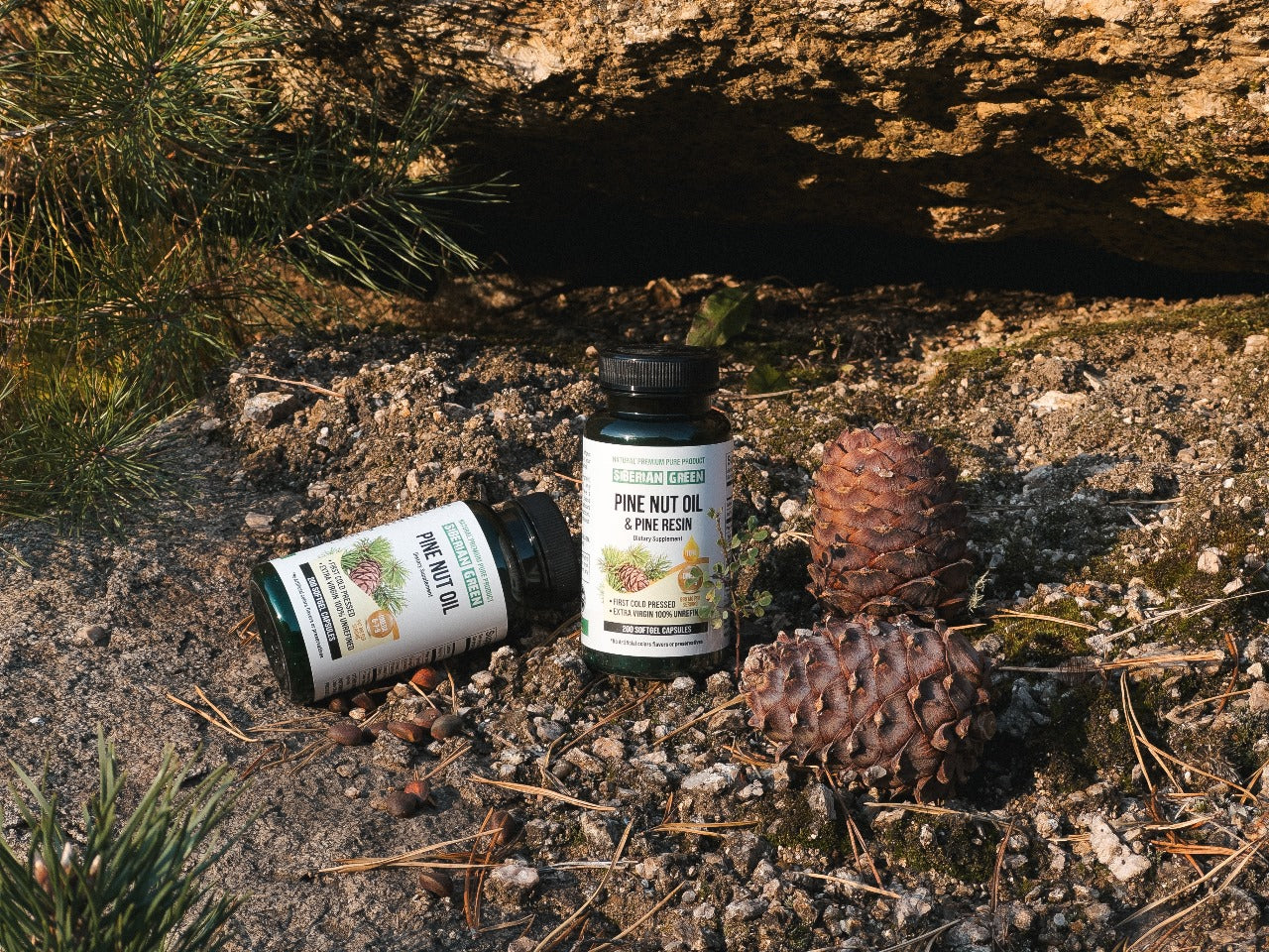 buy cedar resin capsules UK