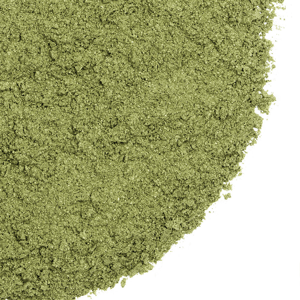 Siberian Green Stinging Nettle Leaf Powder Tea (Urtica dioica) – 8 oz (227 g) Vegan Herbal Powder, Non-GMO Green Superfood Drinks and Daily Wellness