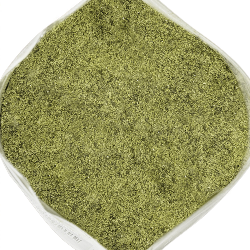 Siberian Green Stinging Nettle Leaf Powder Tea (Urtica dioica) – 8 oz (227 g) Vegan Herbal Powder, Non-GMO Green Superfood Drinks and Daily Wellness