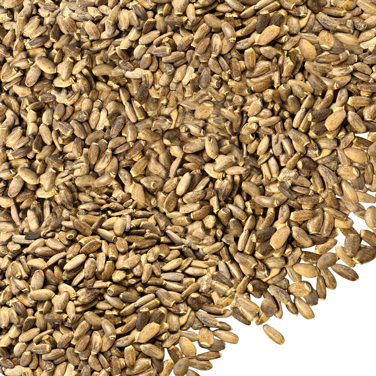 Siberian Green Milk Thistle Dried Whole Seeds Silybum marianum Antioxidant-Rich – 340g (12 oz)