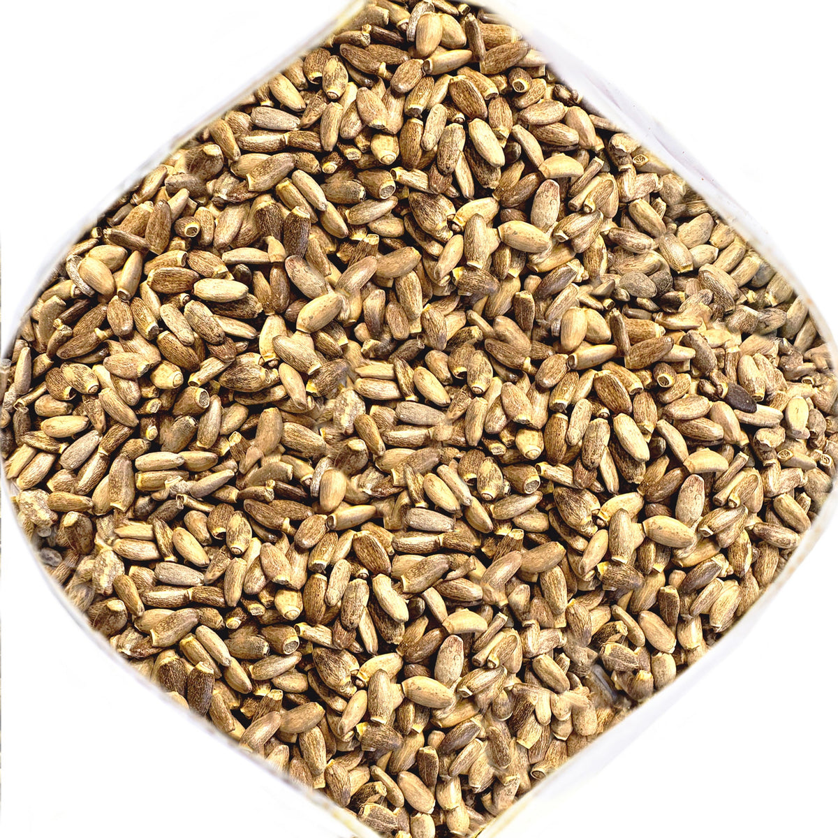 Siberian Green Milk Thistle Dried Whole Seeds Silybum marianum Antioxidant-Rich – 340g (12 oz)
