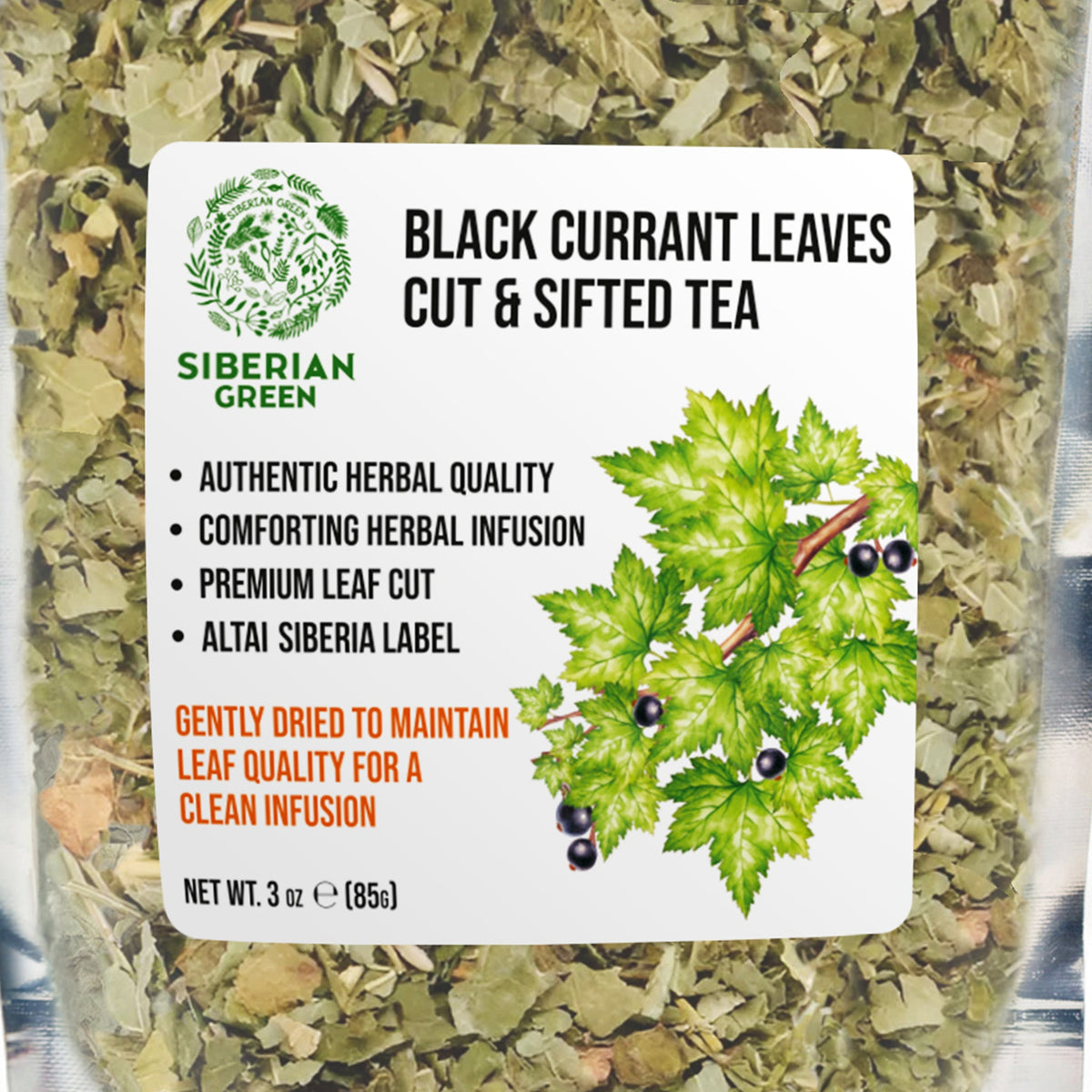 Siberian Green Black Currant Leaf Tea Loose Leaf Cut and Sifted 3 oz (85 g) Wild-Grown Ribes nigrum Immune and Wellness Support