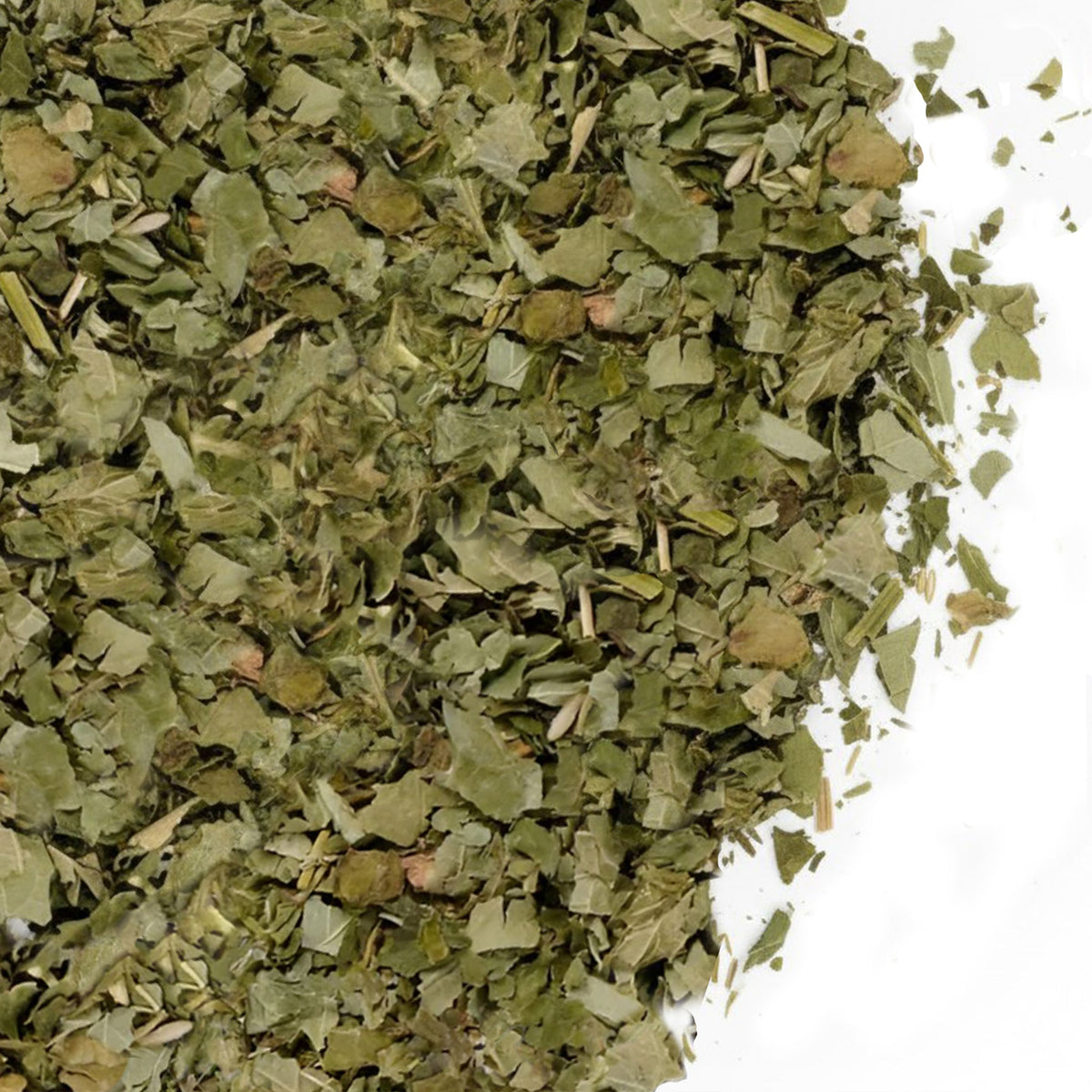 Siberian Green Black Currant Leaf Tea Loose Leaf Cut and Sifted 3 oz (85 g) Wild-Grown Ribes nigrum Immune and Wellness Support