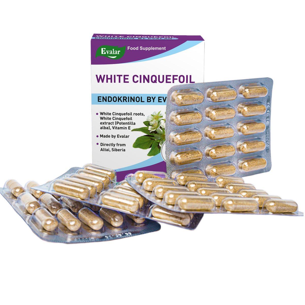 White Cinquefoil Herb by Evalar 60 Caps