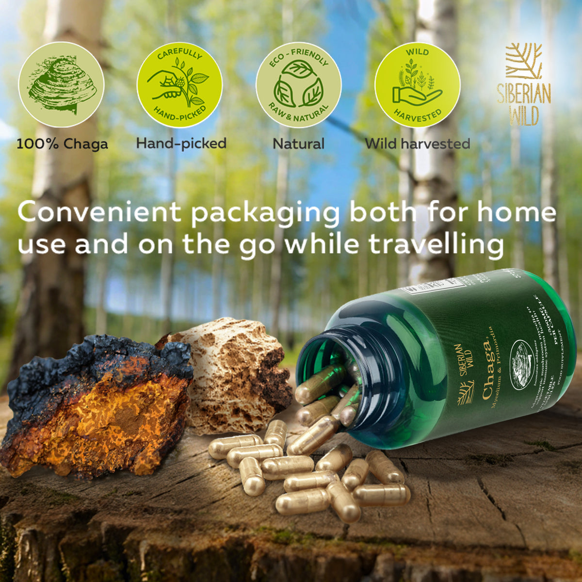 Siberian Wild White Chaga Mushroom Capsules 1500mg Immune Support Energy Antioxidant Vegan Supplement UK