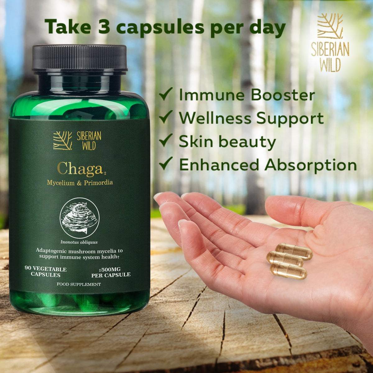 Siberian Wild White Chaga Mushroom Capsules 1500mg Immune Support Energy Antioxidant Vegan Supplement UK