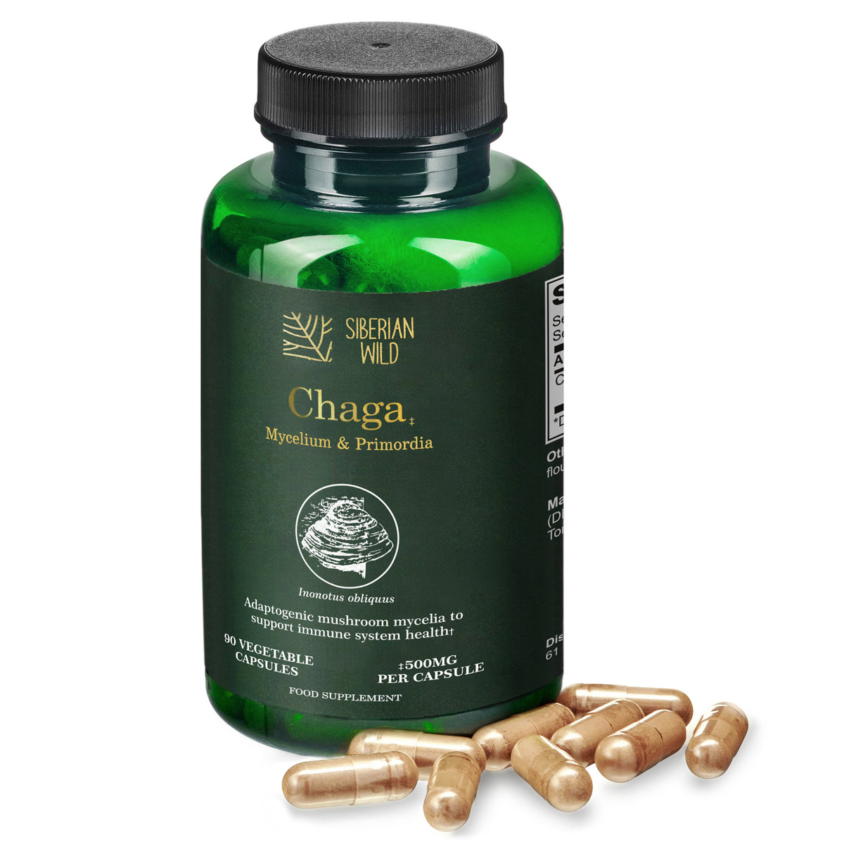 Siberian Wild White Chaga Mushroom Capsules 1500mg Immune Support Energy Antioxidant Vegan Supplement UK