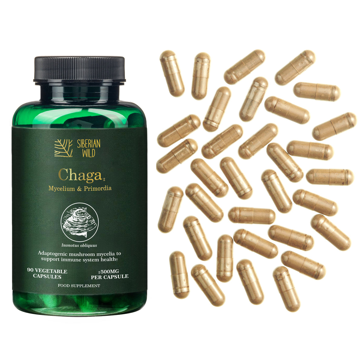 Siberian Wild White Chaga Mushroom Capsules 1500mg Immune Support Energy Antioxidant Vegan Supplement UK