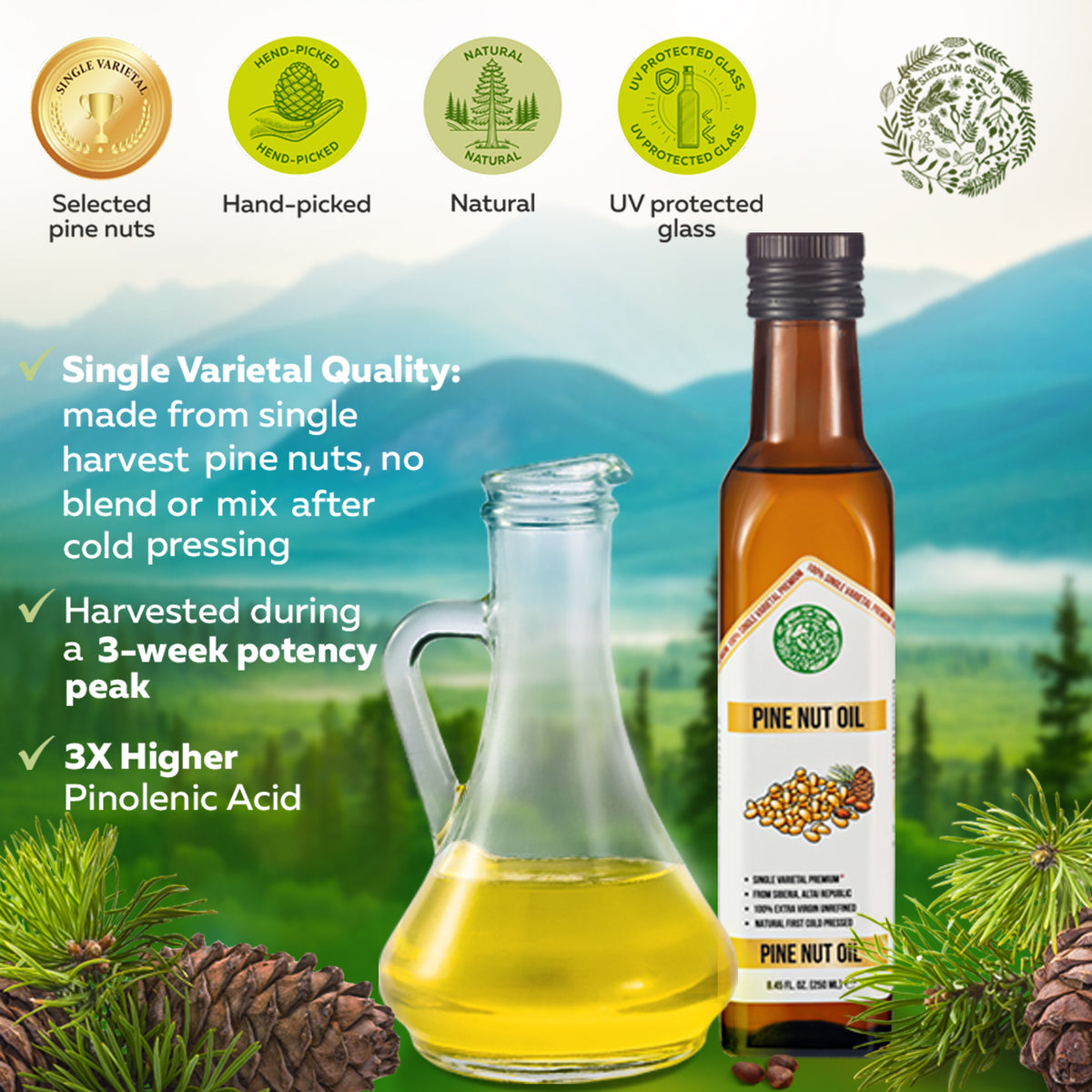 Siberian Green Pine Nut Oil – 250ml Cold Pressed (Extra Virgin, Glass Bottle)