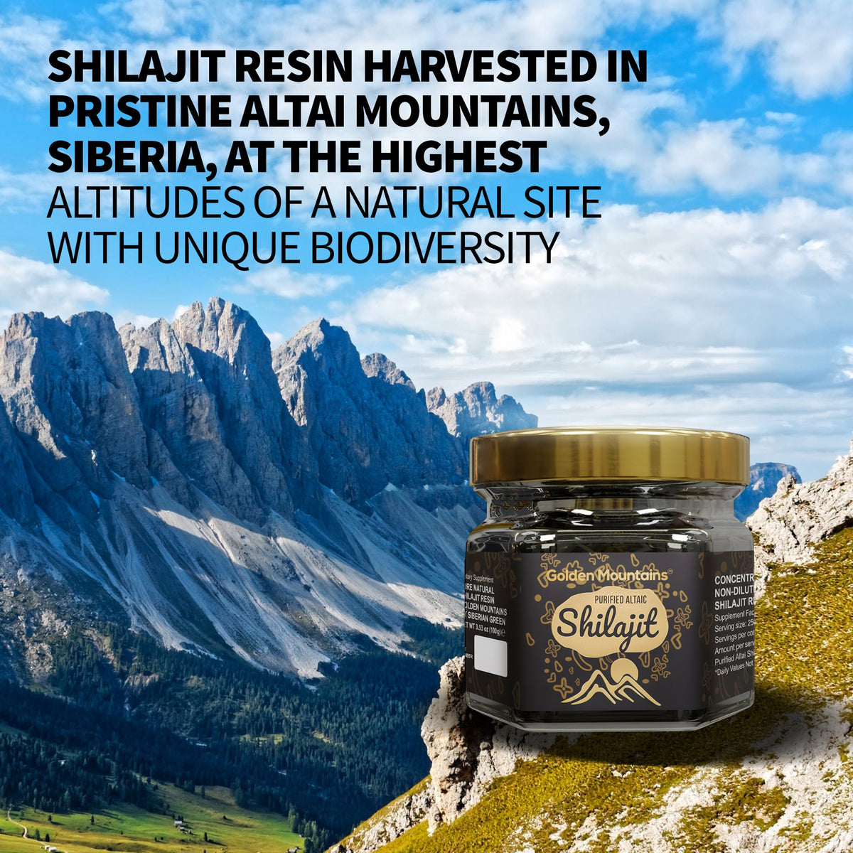 Golden Mountains Shilajit Resin – Authentic Altai Shilajit For Wellness| 100 g