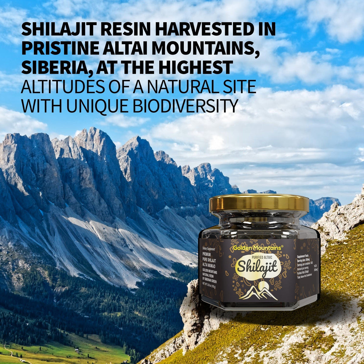 Golden Mountains Shilajit Resin Premium Pure Authentic Siberian Altai 100g 3.53oz - Measuring Spoon – Exclusive Quality Certificate